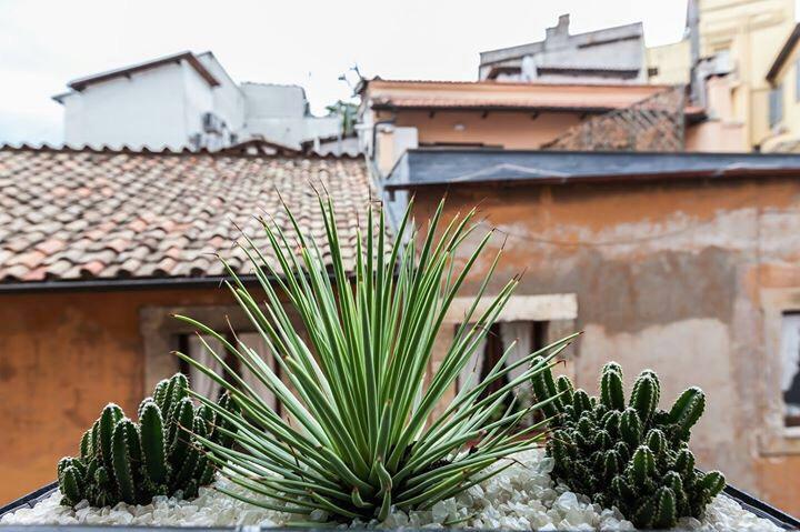 Navona Penthouse Appartamento Roma